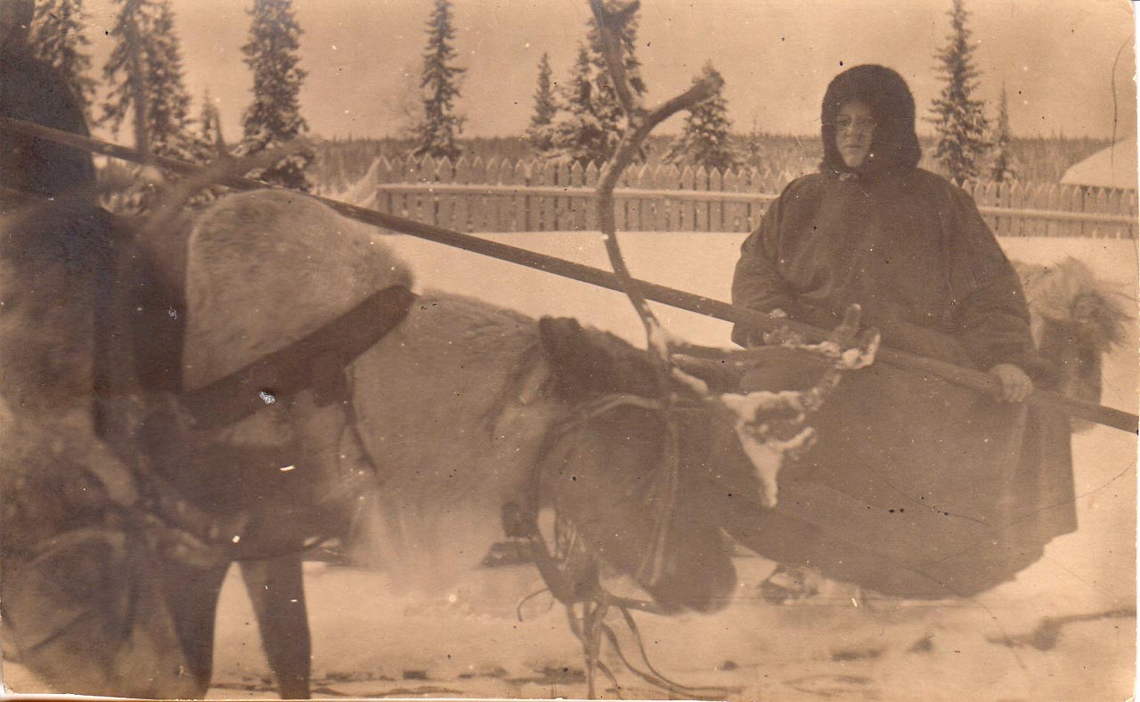 Наталья Митюшёва управляет оленьей упряжкой. Станция Журавского, 1926 