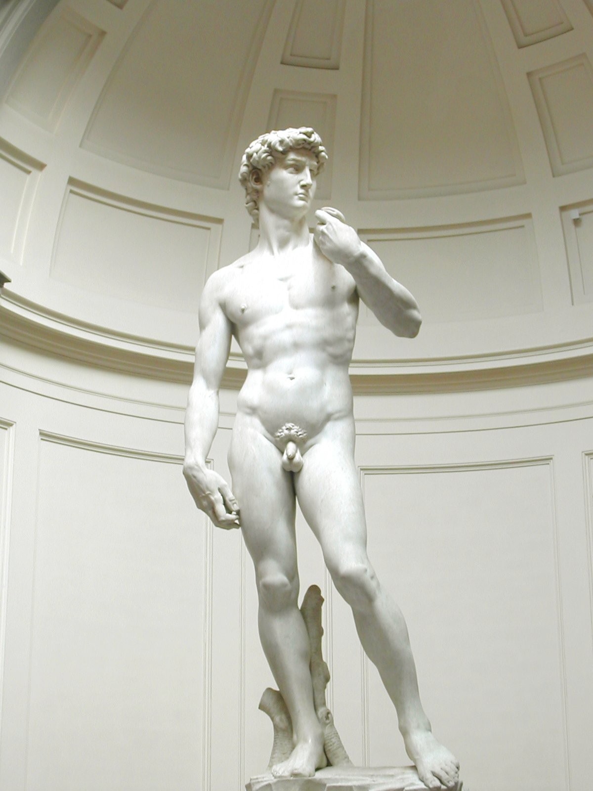 Давид — скульптура Микеланджело 